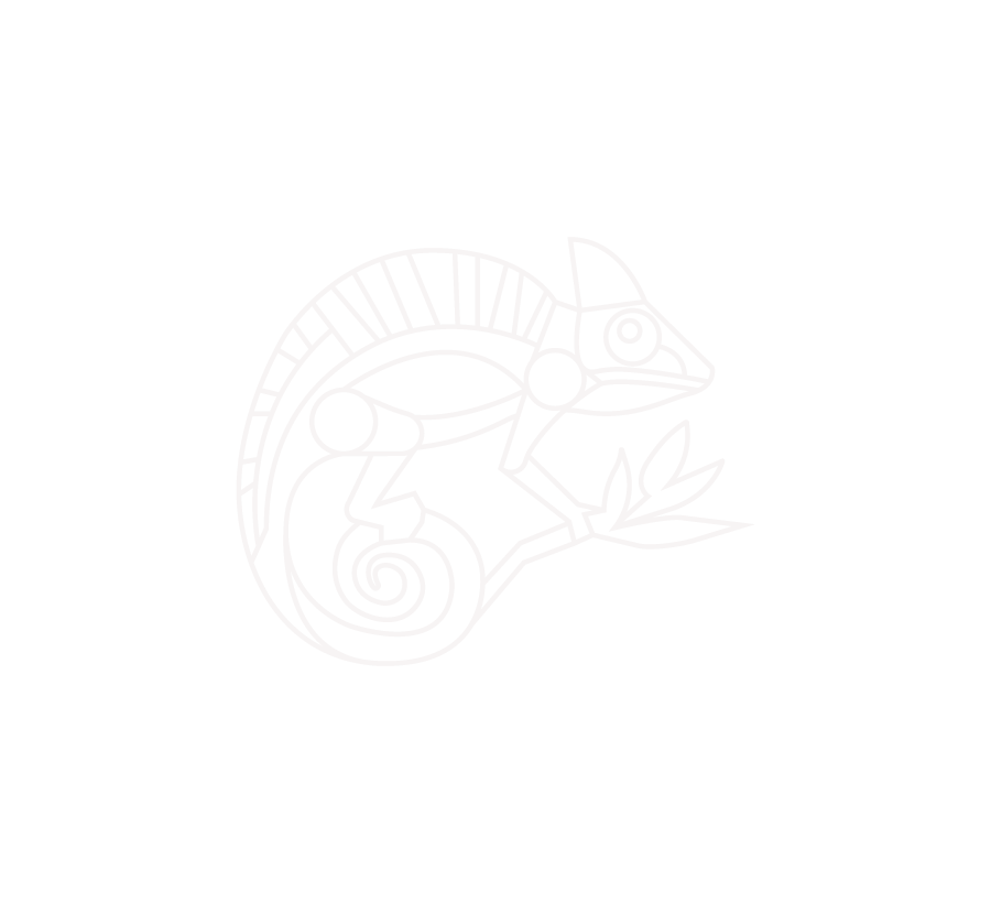 Logo van Kleur Mijn Interieur met een lijntekening van een kameleon in wit op zwart