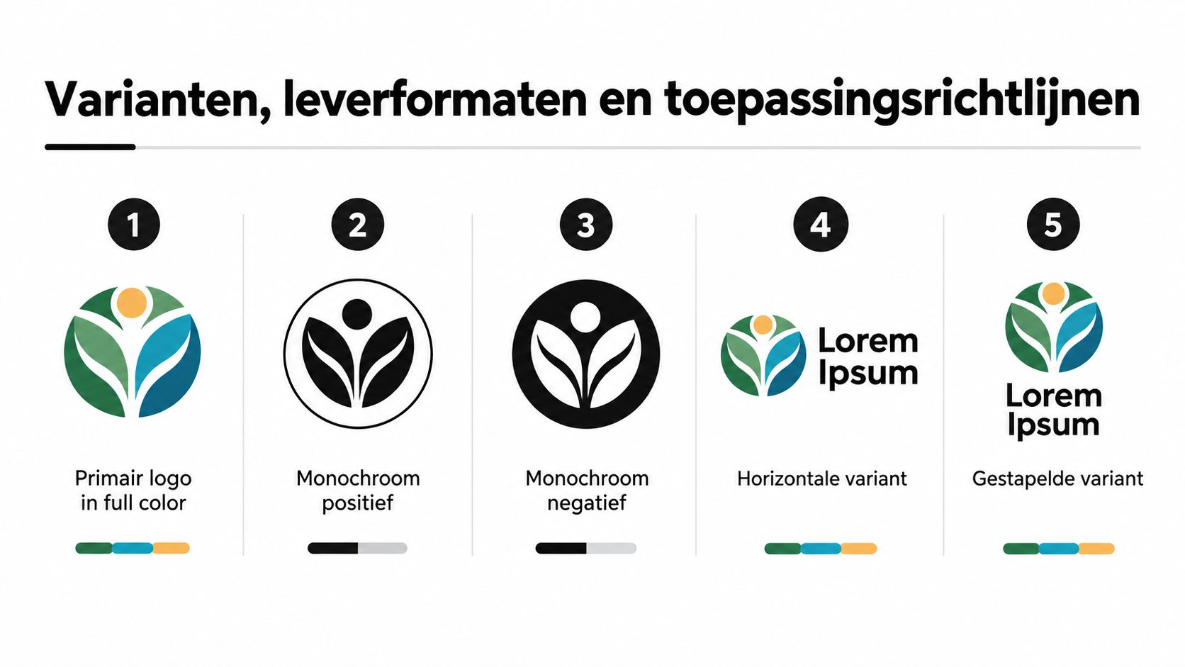 Varianten, leverformaten en toepassingsrichtlijnen